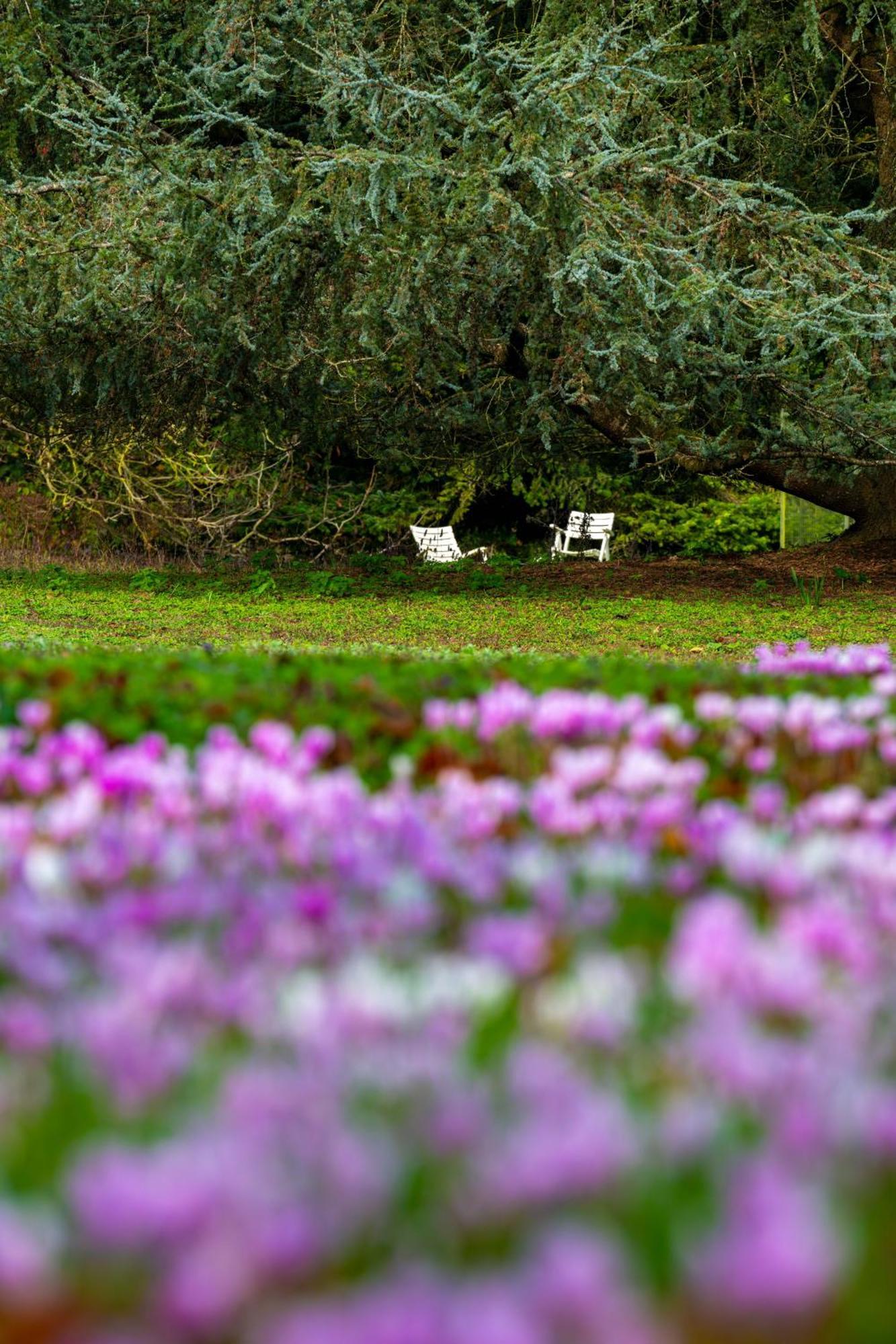 Relais Du Bois Saint Georges - De Charme Hotel 4*